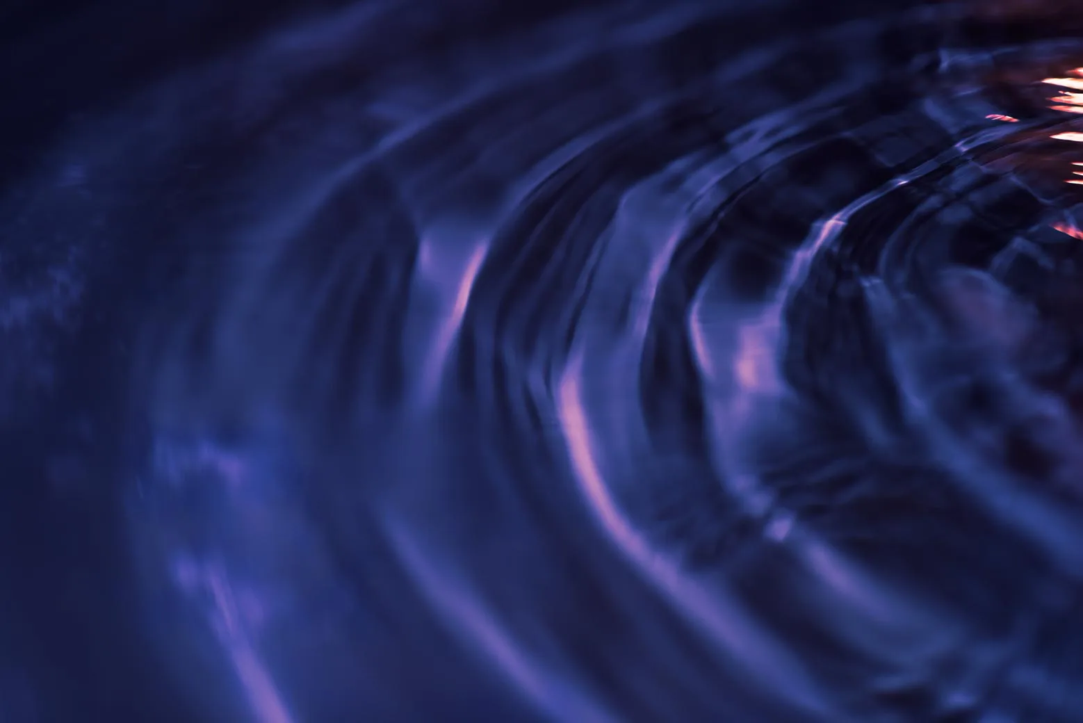 Signals become atmosphere, not interface noise.